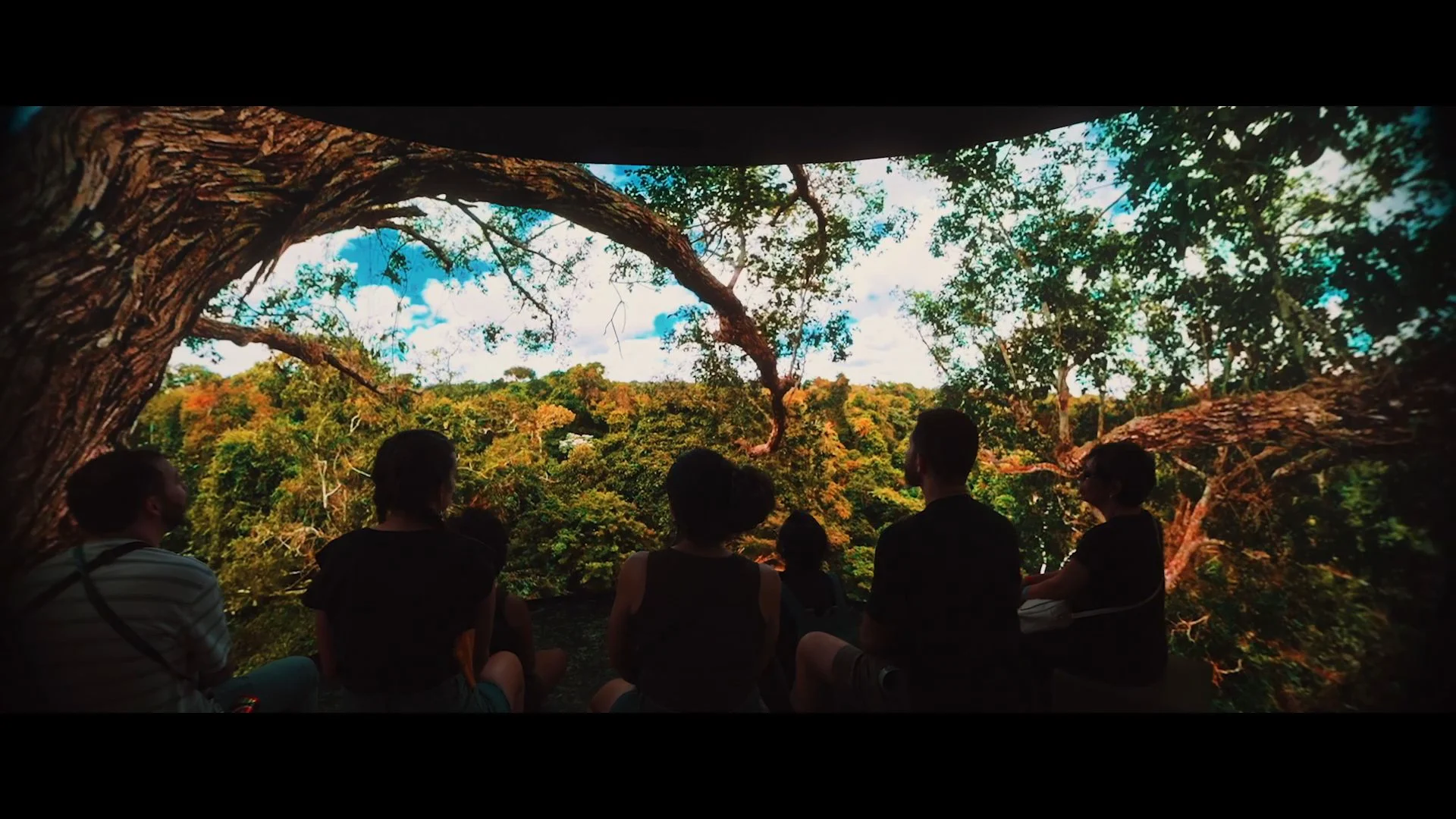 Interior imersivo da Vitória-Régia, com floresta e natureza nos telões da ativação